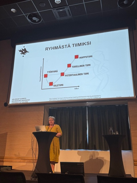 Suvi Nenonen, Helsingin yliopisto