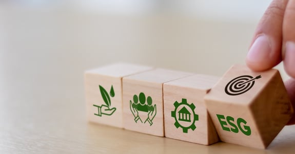 Juuriharja & Green Carbon kokonaisvastuullista liiketoiminnan kehittämistä