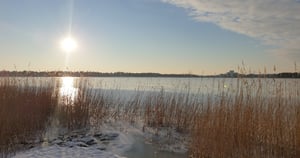 Levon ja uudistumisen balanssi on elinvoiman ehto