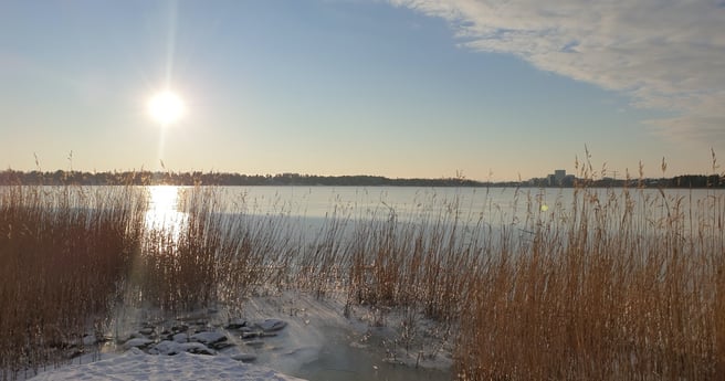 JH blogi kevät