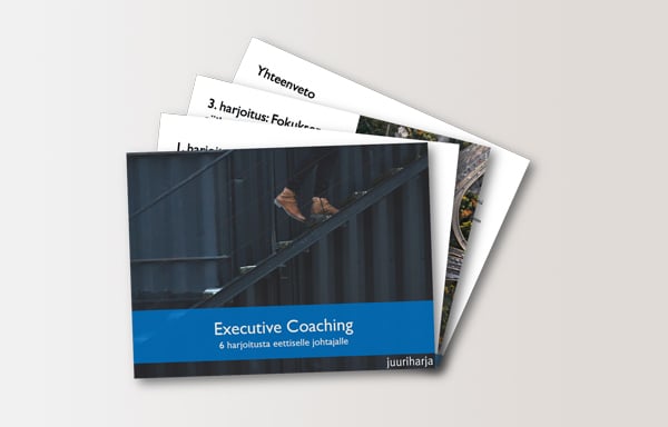 Opas-executive-coaching