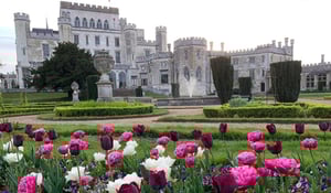 Hult Ashridge, kuva Rea Klingberg, Juuriharja Consulting Group Oy